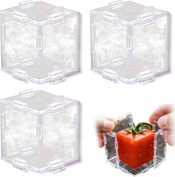 🔥2026 Hot Sale - 🍐Fruit Shaping Mold For Growing Unique