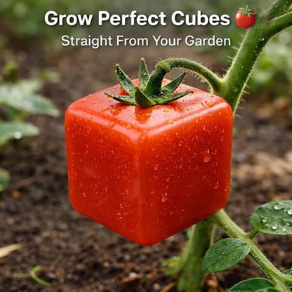 🔥2026 Hot Sale - 🍐Fruit Shaping Mold For Growing Unique