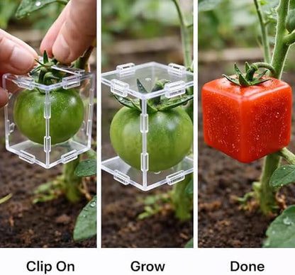 🔥2026 Hot Sale - 🍐Fruit Shaping Mold For Growing Unique