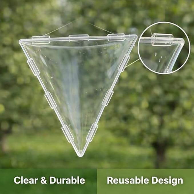 🔥2026 Hot Sale - 🍐Fruit Shaping Mold For Growing Unique