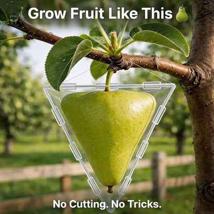 🔥2026 Hot Sale - 🍐Fruit Shaping Mold For Growing Unique